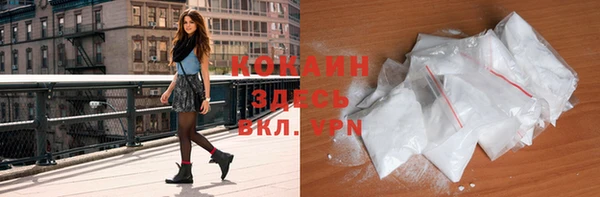 твердый Богданович
