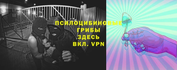 прущая мука Богородицк