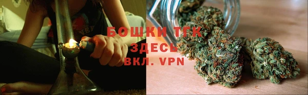твердый Богданович