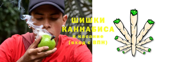 прущая мука Богородицк