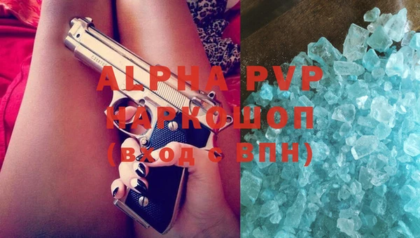 твердый Богданович
