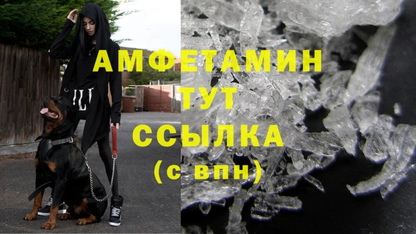 твердый Богданович