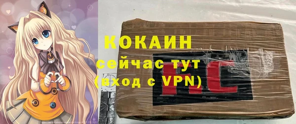 прущая мука Богородицк