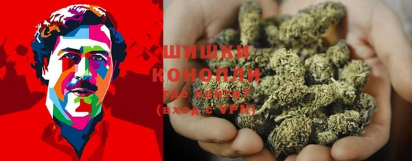 СК Богородск