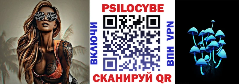 Галлюциногенные грибы MAGIC MUSHROOMS  как найти   Нестеров 