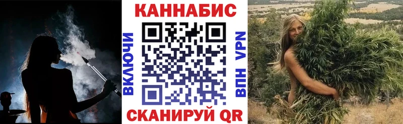 где купить   Нестеров  МЕГА   Канабис тримм 